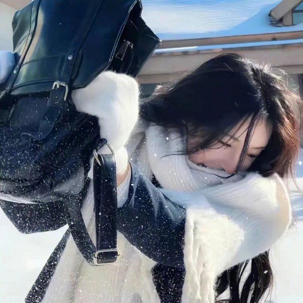 百合熊风暴