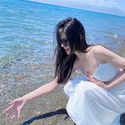 托梅斯的导盲犬